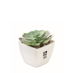 Planta artificial mini en PP forma suculenta echeveria color blanco vista de impresión