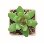 Planta artificial mini en PP tipo suculenta decorativa color blanco tercera vista