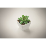 Planta artificial mini en PP tipo suculenta decorativa color blanco vista fotografía cuarta vista