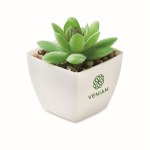 Planta artificial mini en PP tipo suculenta decorativa color blanco vista principal
