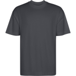 Camiseta algodón unisex oversize manga corta 270g/m² Roly Direct Chow color gris topo primera vista de uso