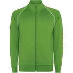 Sudadera deportiva unisex con cuello alto 210 g/m2 Roly Direct Valier color verde primera vista de uso