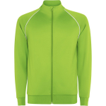 Sudadera deportiva unisex con cuello alto 210 g/m2 Roly Direct Valier color verde fluorescente primera vista de uso