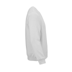 Sudadera de algodón orgánico unisex de felpa cepillada 300g/m² Waikiki color gris claro segunda vista