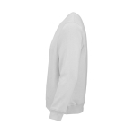 Sudadera de algodón orgánico unisex de felpa cepillada 300g/m² Waikiki color gris claro tercera vista