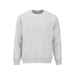 Sudadera de algodón orgánico unisex de felpa cepillada 300g/m² Waikiki color gris claro vista frontal