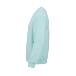 Sudadera de algodón orgánico unisex de felpa cepillada 300g/m² Waikiki color verde claro tercera vista