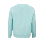 Sudadera de algodón orgánico unisex de felpa cepillada 300g/m² Waikiki color verde claro vista trasera