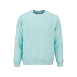 Sudadera de algodón orgánico unisex de felpa cepillada 300g/m² Waikiki color verde claro vista frontal