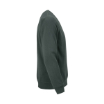 Sudadera de algodón orgánico unisex de felpa cepillada 300g/m² Waikiki color verde oscuro segunda vista