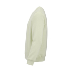 Sudadera de algodón orgánico unisex de felpa cepillada 300g/m² Waikiki color verde pastel tercera vista