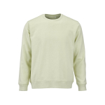 Sudadera de algodón orgánico unisex de felpa cepillada 300g/m² Waikiki color verde pastel vista frontal