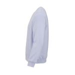 Sudadera de algodón orgánico unisex de felpa cepillada 300g/m² Waikiki color azul pastel tercera vista