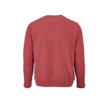 Sudadera de algodón orgánico unisex con felpa francesa 300g/m² Capri color menta poderosa vista trasera