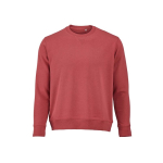 Sudadera de algodón orgánico unisex con felpa francesa 300g/m² Capri color menta poderosa vista frontal