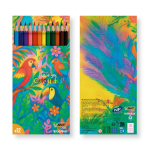 Set de colorear reciclado con certificación FSC® y 12 lápices BIC® color multicolor