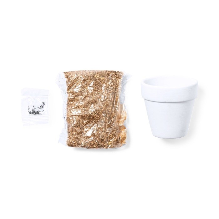 Maceta con semillas de cactus y sustrato color blanco segunda vista