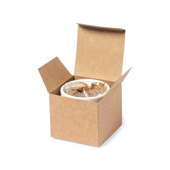 Maceta con semillas de cactus y sustrato color blanco tercera vista