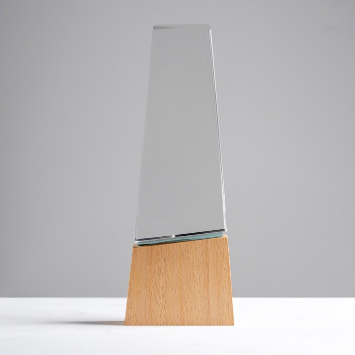 Trofeo de cristal estilizado con base de madera que ofrece distinción vista de ambiente Trofeo de cristal estilizado con base de madera que ofrece distinción vista de ambiente
