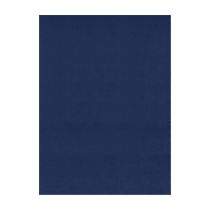 Manta de poliéster reciclado hecha en UE 110 x 150cm 290 g/m2 color azul primera vista