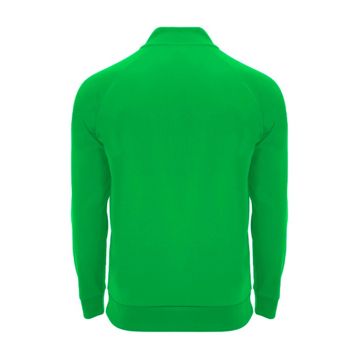 Sudadera infantil de manga larga con cremallera corta 200 g/m2 Roly color verde segunda vista trasera Sudadera infantil de manga larga con cremallera corta 200 g/m2 Roly color verde segunda vista trasera