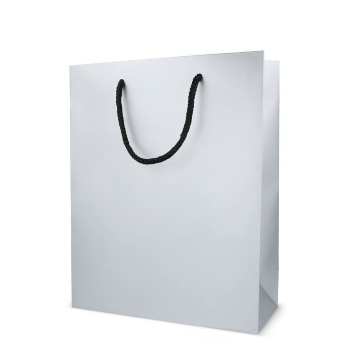 Bolsa de papel para regalo con asas e interior color negro 24x10x30 cm color plateado tercera vista Bolsa de papel para regalo con asas e interior color negro 24x10x30 cm color plateado tercera vista