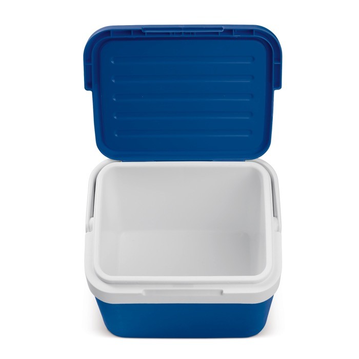 Nevera rígida de plástico en distintos colores y asa de transporte 10L color azul segunda vista