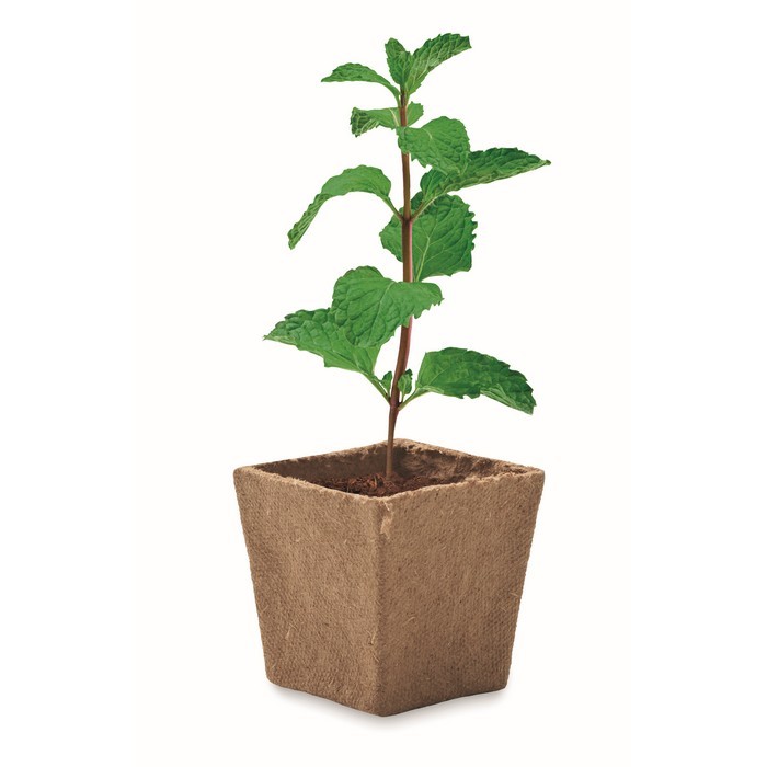 Maceta cuadrada y biodegradable de semillas de menta hecha en EU color beige segunda vista Maceta cuadrada y biodegradable de semillas de menta hecha en EU color beige segunda vista