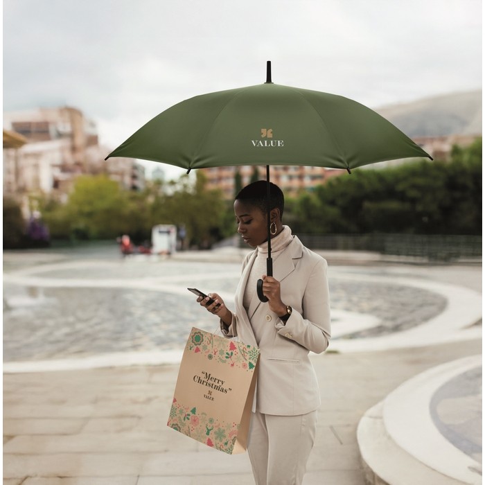 Paraguas antiviento de apertura automática y cierre manual Ø103 color verde vista bodegón principal Paraguas antiviento de apertura automática y cierre manual Ø103 color verde vista bodegón principal