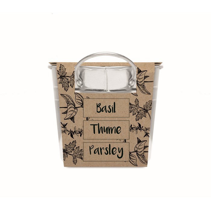 Maceta con semillas color plateado mate octava vista