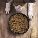 Bowl plegable de papel reciclado laminado para mascotas 1.3L color marrón claro séptima vista
