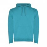 Sudadera de algodón y poliéster 280 g/m2 Roly Direct Urban color turquesa segunda vista