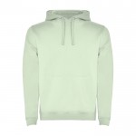 Sudadera de algodón y poliéster 280 g/m2 Roly Direct Urban color verde suave segunda vista