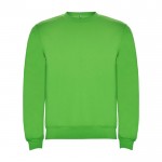 Jersey de algodón y poliéster con puños canalé 280 g/m2 Roly Direct Clasica color verde claro segunda vista