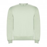 Jersey de algodón y poliéster con puños canalé 280 g/m2 Roly Direct Clasica color verde suave segunda vista