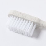 Cepillo de dientes de caña de trigo plegable especial para viajes quinta vista