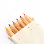 6 lápices de color en caja de cartón con semillas de petunia color natural quinta vista