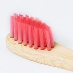 Cepillo de dientes para niños de bambú con detalles a color tercera vista