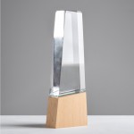 Trofeo de cristal estilizado con base de madera que ofrece distinción vista 1