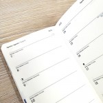 páginas Agenda Anytime Pocket