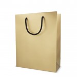 Bolsa de papel para regalo con asas e interior color negro 24x10x30 cm color dorado tercera vista