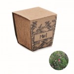 Maceta cuadrada y biodegradable de semillas de menta hecha en EU color beige