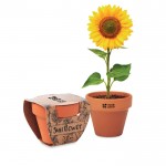 Macetero con semillas de girasol vista principal