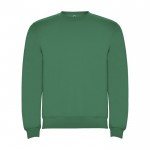 Jersey unisex de algodón y poliéster en punto 280 g/m2 Roly color verde