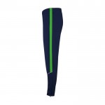 Chándal unisex de poliéster bicolor con colores a juego 225 g/m2 Roly color verde vista lateral