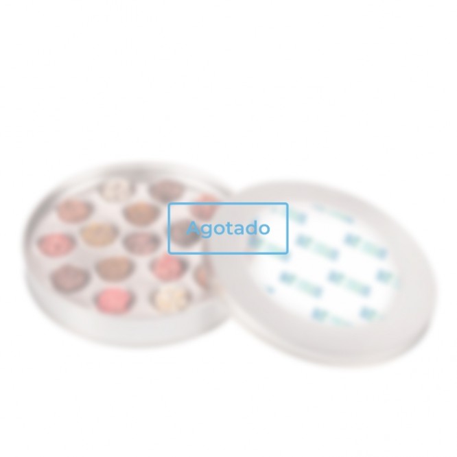 Caja de 16 trufas decoradas rellenas de varios sabores gourmet color plateado - Agotado