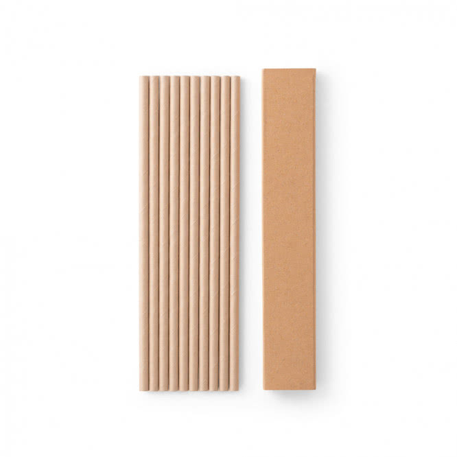 Conjunto de 10 pajitas de papel kraft
