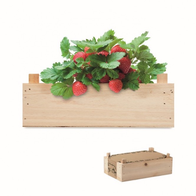 Kit de cultivo de fresas color madera