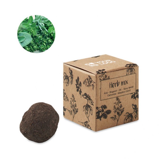 Kit de cultivo de semillas de hierbas presentado en caja