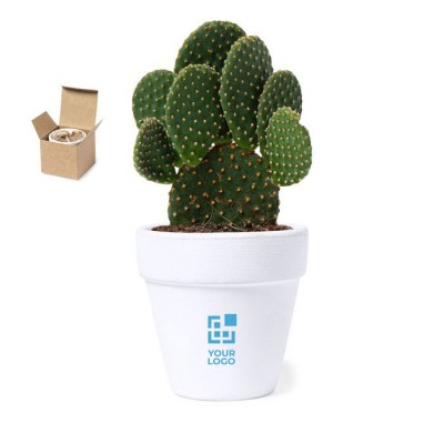 Maceta con semillas de cactus y sustrato vista principal